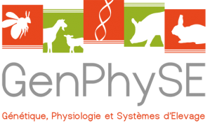 genphyse-dark.png